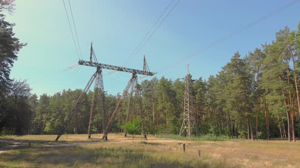 Power Line Tower Forest