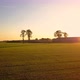 Aerial Cinematic Clip Drone Flying Over a Farm Field During Sunset - VideoHive Item for Sale