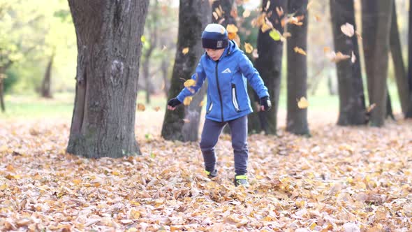 Children are Playing with Fallen Leaves in the Autumn Park