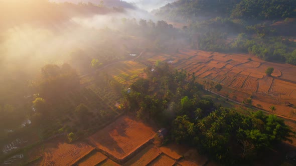 Aerial view from a drone over misty landscape on farmland. 4K