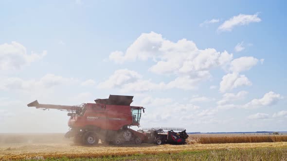 Harvester harvests ripe wheat. Combine harvesting the field of wheat