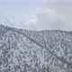 Winter Snowy Forest in the Mountains - VideoHive Item for Sale