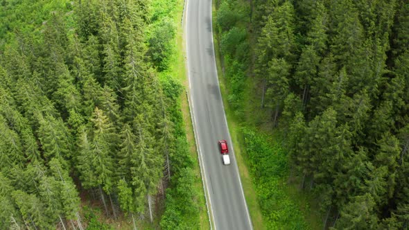 Aerial View of the Road with Driving Red Car in the Mountains with High Green Fir Foliar Pine or