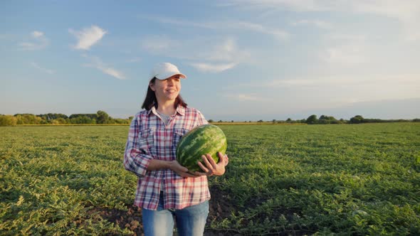 Woman Farmer Carries a Ripe Watermelon in Hands