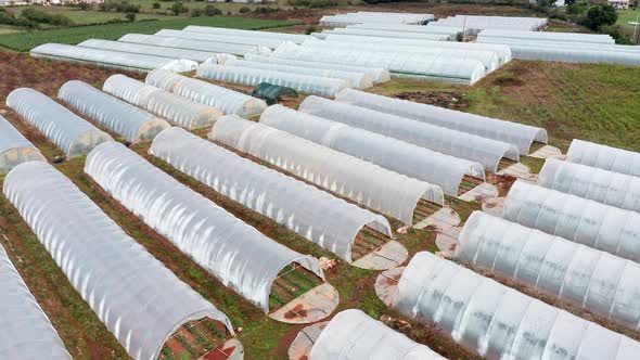 Greenhouses made of polyethylene film - low plastic hothouses are cover and protection for plants