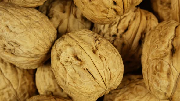Close-up View of One Walnut on Rotating Pile of Nuts