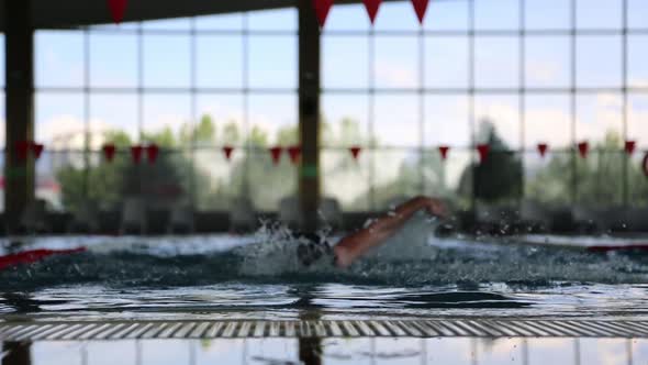 Freestyle Swimming (Stock Footage)