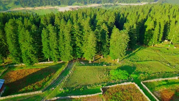 Mountain landscape in Georgia, the village of Beshumi. Shooting from a drone