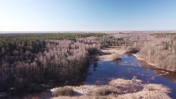 Spring Landscape Of Shevino Lake 45