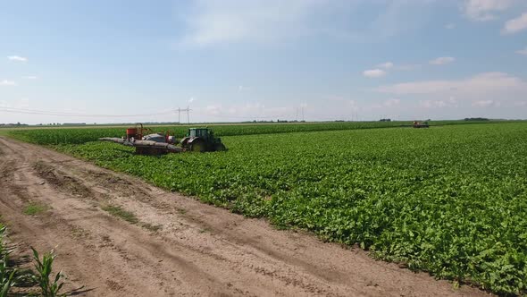 Spraying Sugar Beet