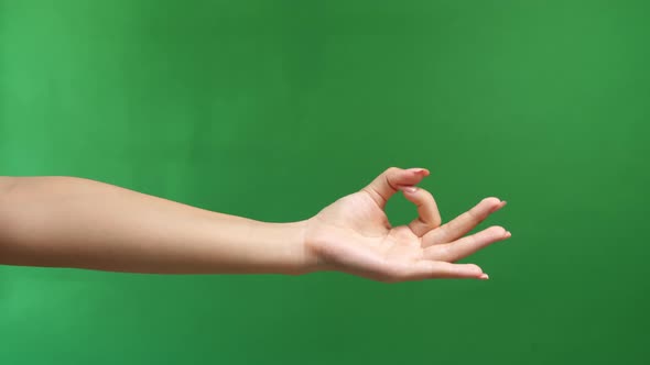 Woman's Hand Ok Sign On Green Screen Background