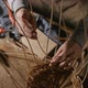 Weaving a Basket From Willow Branches on a Table - VideoHive Item for Sale