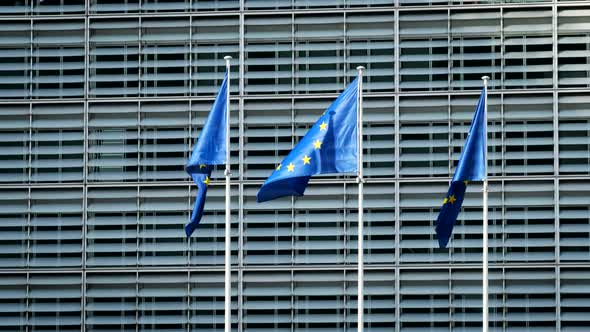 EU Flags in Front of European Commission