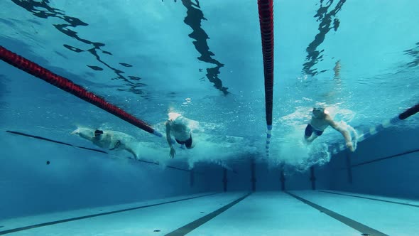 Three Swimmers Compete with Each Other