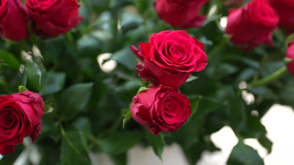 Red Roses 45