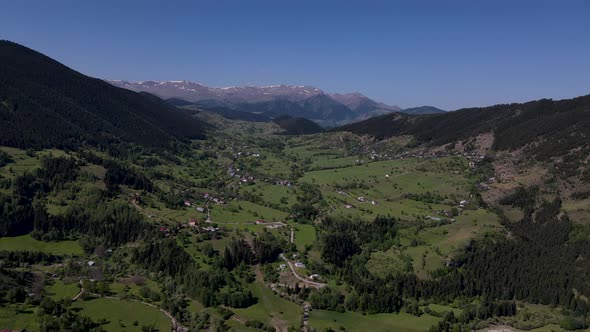 Pine Forests And Alpine Meadows