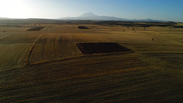 Autumn Agriculture Fields