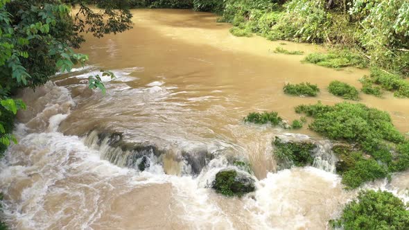 A tropical river with brown water showing the branches hanging above the water