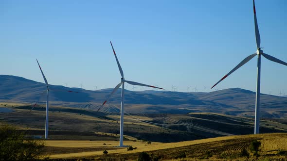 Wind Tribunes and Landscapes