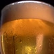 Cold Light Beer in a Glass with Water Drops - VideoHive Item for Sale