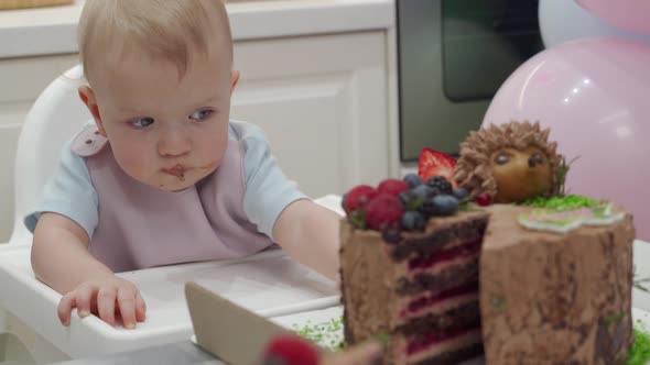 Baby Celebrate First Birthday Holiday Cute Small Child Trying to Reach the Cake One Year Old Kid