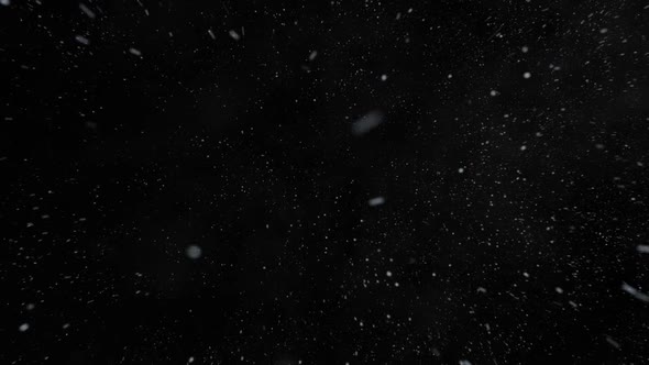 Winter snowfall. Low angle shot of a dense snow against a black background.