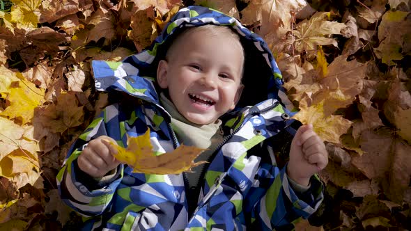 Laughing Blond Kid Baby Lying On Fallen Autumn Golden Leaves Portrait