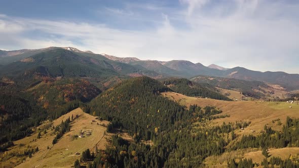 Aerial view of autumn mountain landscape with evergreen pine trees and yellow fall forest with 