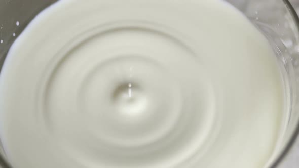 Drop of Milk Falls Slowly in a Bowl of Milk