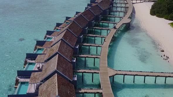 Drone aerial panorama of lagoon beach wildlife by ocean with sand background