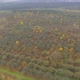 Aerial shot autumn garden - VideoHive Item for Sale