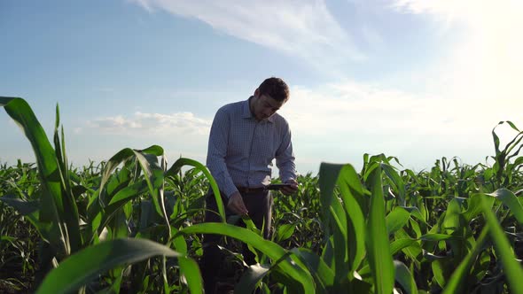 Farmer Uses Tablet Modern Application Technology in Agricultural