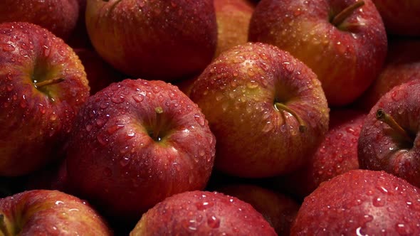 Lots Of Glistening Wet Red Apples