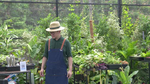 4K Asian man customer buying houseplant by using contactless payment on smartphone mobile banking