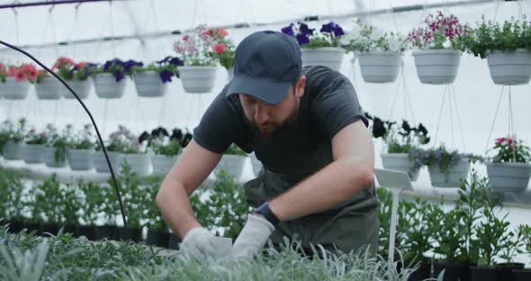 Male Gardener Taking Label To Plant