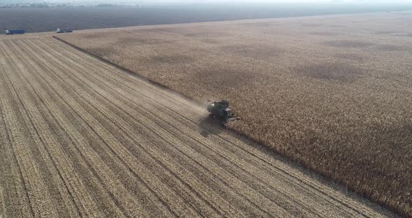 Aerial View of a Harvester Harvesting Corn in the Field