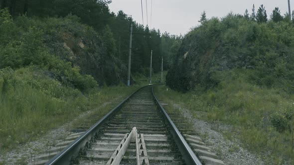 Empty Railway in the Forest