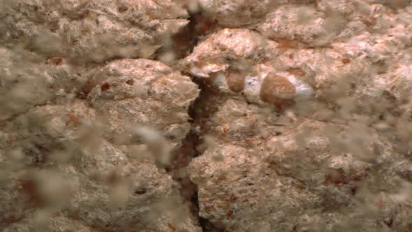 Oatmeal Crisp Bread Breaks In Two In Slow Motion A Macro Top Shot