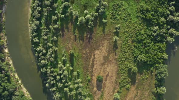 Aerial View of Winding River in Forest