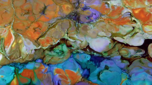 Liquid Colorful Paint Pattens Mix In Slow Motion 11