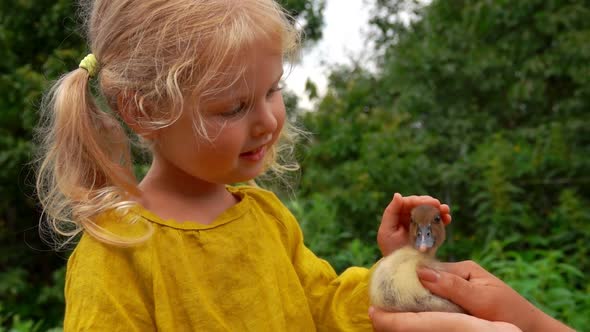 Girl Gently Stroking a Little Duckling on the Head