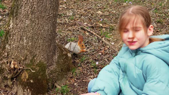 a Little Girl in a Blue Jacket Feeds a Squirrel a Nut From Her Palm