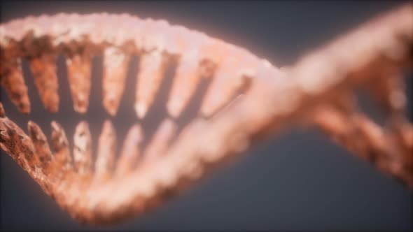 DNA Molecule on the Grey Background alt