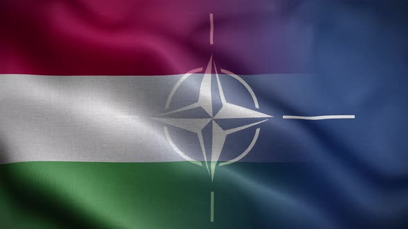 Nato Hungary Flag Loop Background 4K