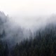 The Fog Spills Over the Spruce Forest Cold Rainy Weather - VideoHive Item for Sale