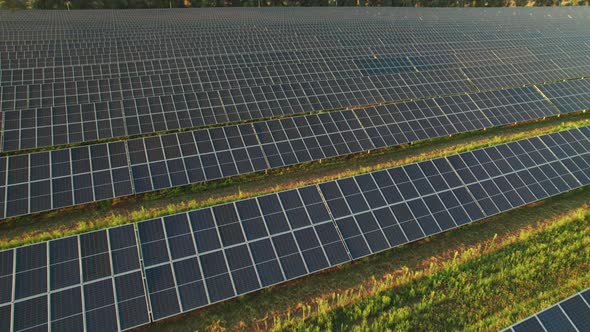 Aerial View Solar Power Station on Green Field at Sunset Solar Panels in Row