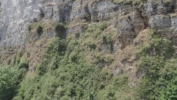 Close up view of the white chalk cliffs on Seaton beach in England. Fascinating beach cliffs with lu