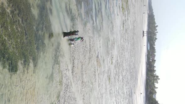 Vertical Video of a Coastal Landscape in Zanzibar Tanzania Aerial View