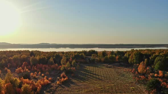 Flight over the autumn forest.