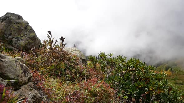 Clouds In The Mountains